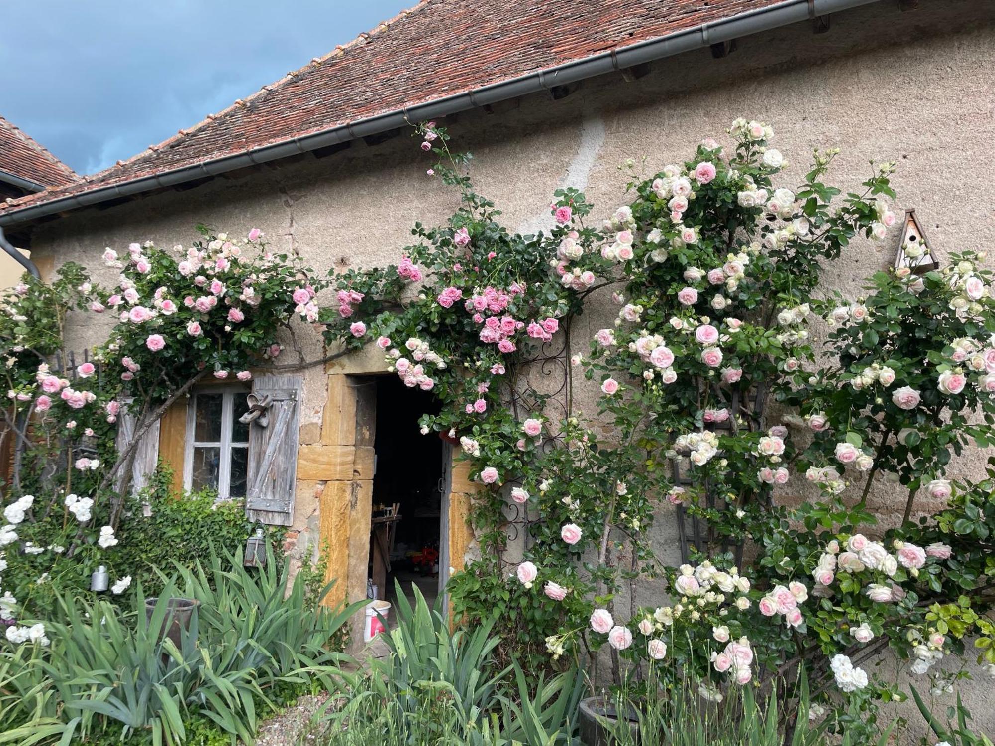 Bed and Breakfast Les Jardins Des Soussilanges Céron Esterno foto